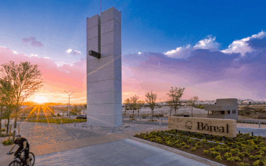 Lotes Índigo Chihuahua