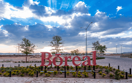 Lotes Índigo Chihuahua