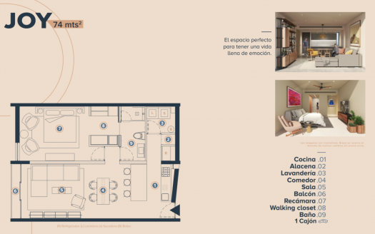 Modelo Joy Cd. Juárez