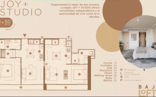Modelo Joy + Studio Baja Lofts