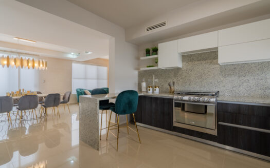 Modelo Ámsterdam 3N de Morín Norte